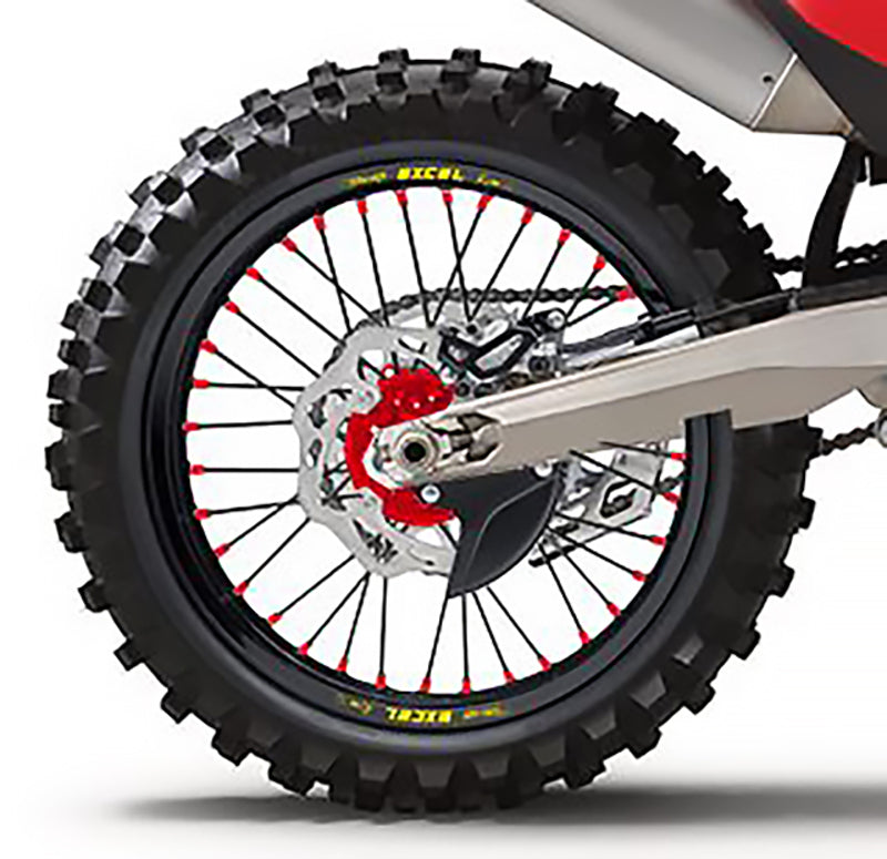 HAAN WHEELS Complete Rear Wheel - 17x4,50x36T