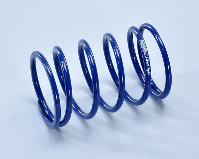 Polini compression springs