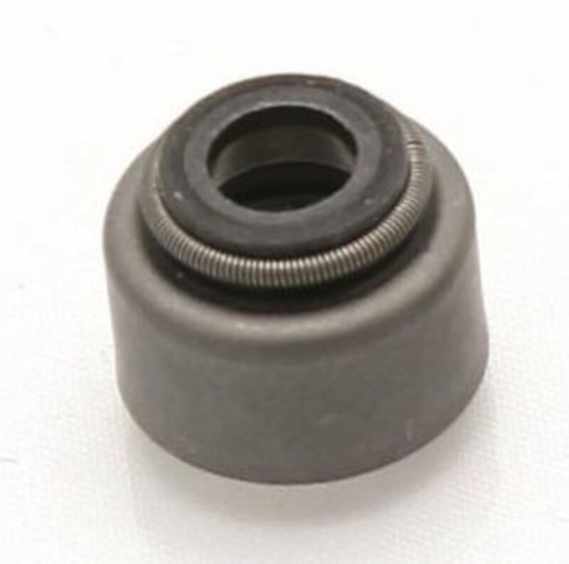 CENTA SEAL VENTILSTANGE