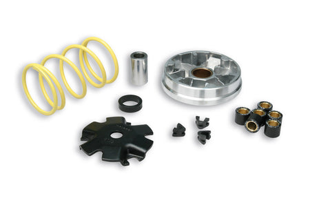 Malossi Variatore MALOSSI Multivar - Honda PK 50 WALLAROO 1990-2008 / Peugeot RAPIDO 50 2T 1985-1994