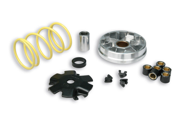 Malossi Variatore MALOSSI Multivar - Honda PK 50 WALLAROO 1990-2008 / Peugeot RAPIDO 50 2T 1985-1994
