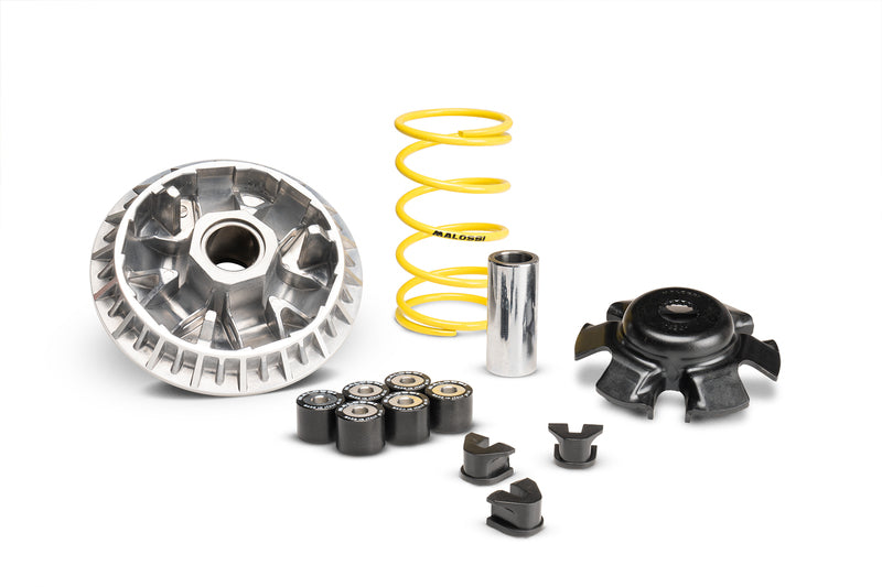 Malossi Variatore MALOSSI Multivar 2000 - Sym CRUISYM 300 2020-2024 / Sym JOYMAX Z 300I 4T 2021-2023
