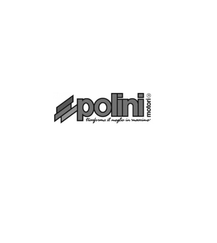 Polini Zuigerveer 46x1.5