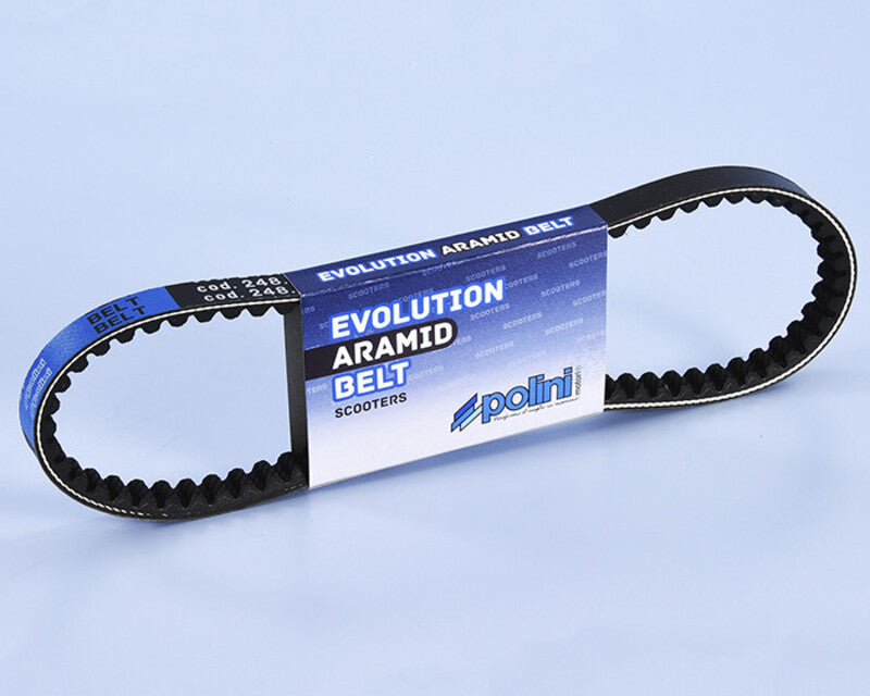 Polini V-snaar 810 x 19.5 mm