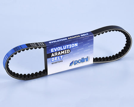 Polini V-snaar 810 x 19.5 mm