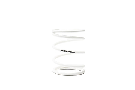 Malossi Variator adjuster spring white k 14