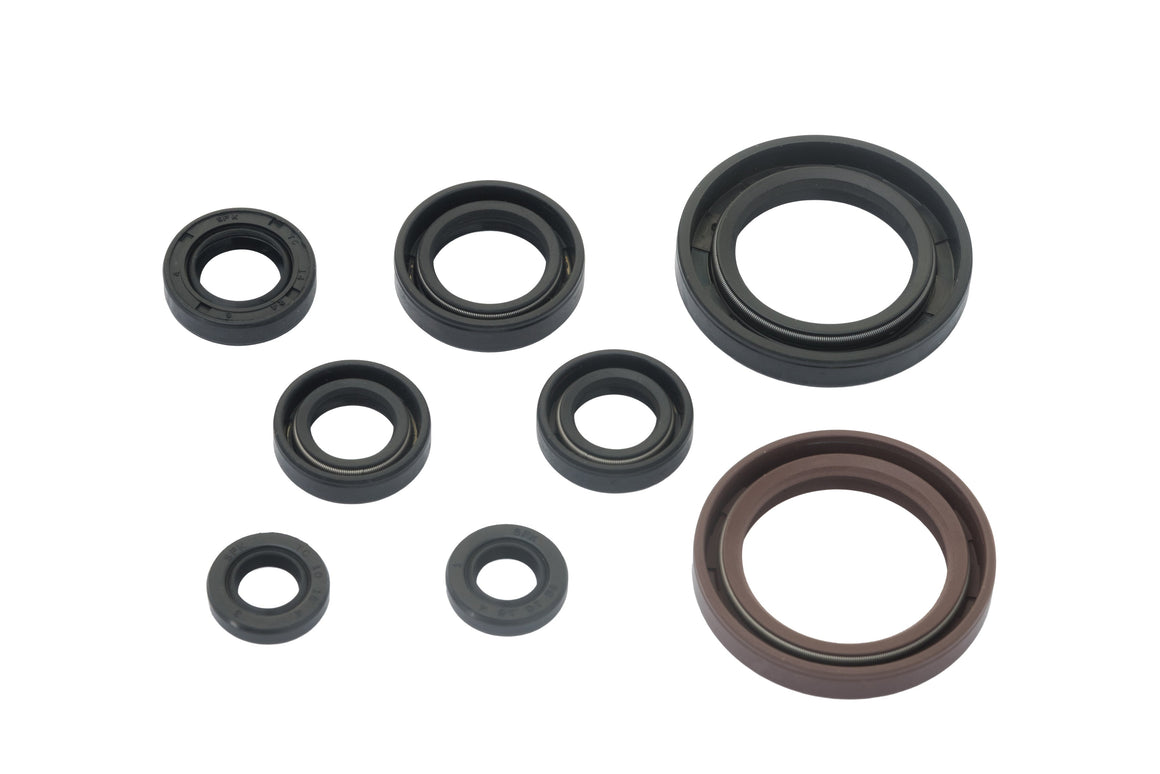 BETA 400 450 525 RR 2006-2009 AS3 ENGINE OIL SEAL KIT