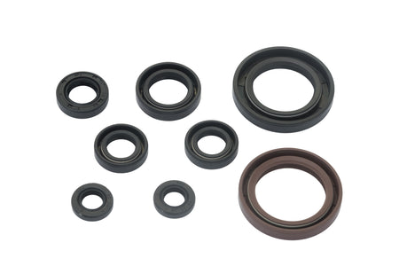 BETA 400 450 525 RR 2006-2009 AS3 ENGINE OIL SEAL KIT