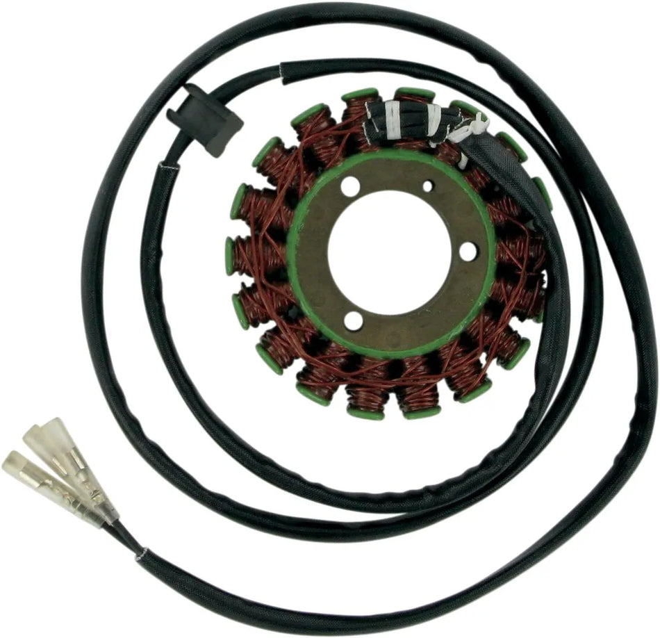 Rick's Motorsport Stator Suzuki