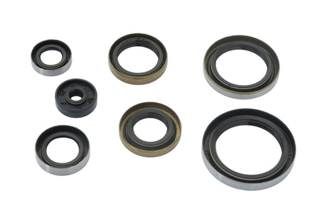 HUSQVARNA TC TE TX 250 300 2017-2025 AS3 ENGINE OIL SEAL KIT