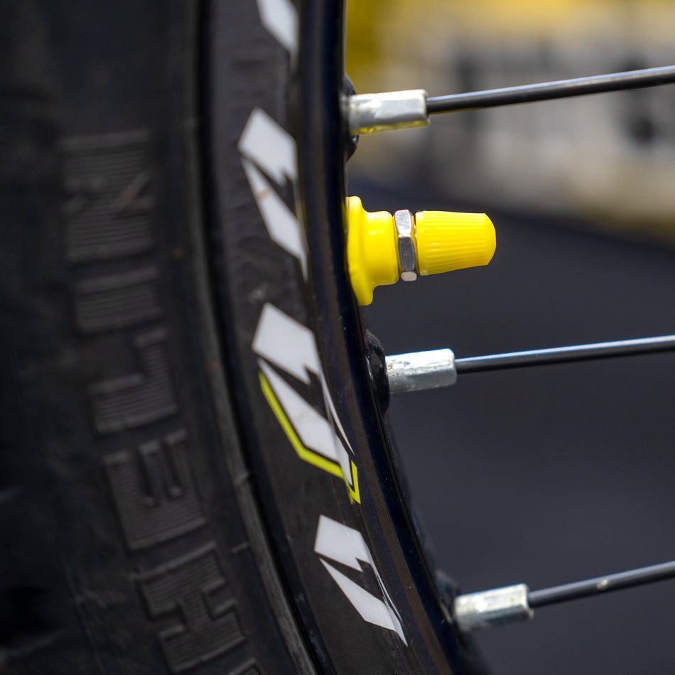 Jitsie Silicone Tire Valve Caps