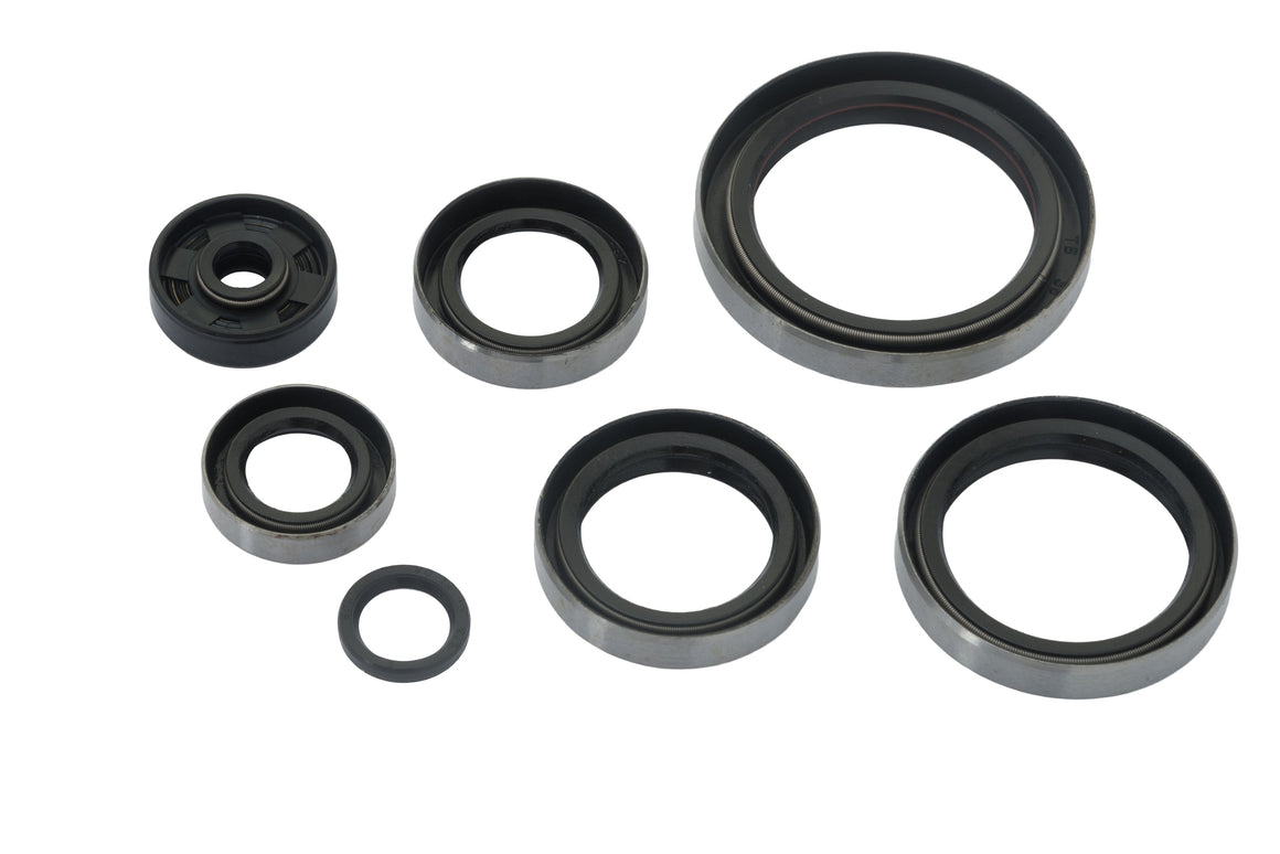 KTM 250 SX 2000-2002 250 EXC 2000-2003 AS3 ENGINE OIL SEAL KIT