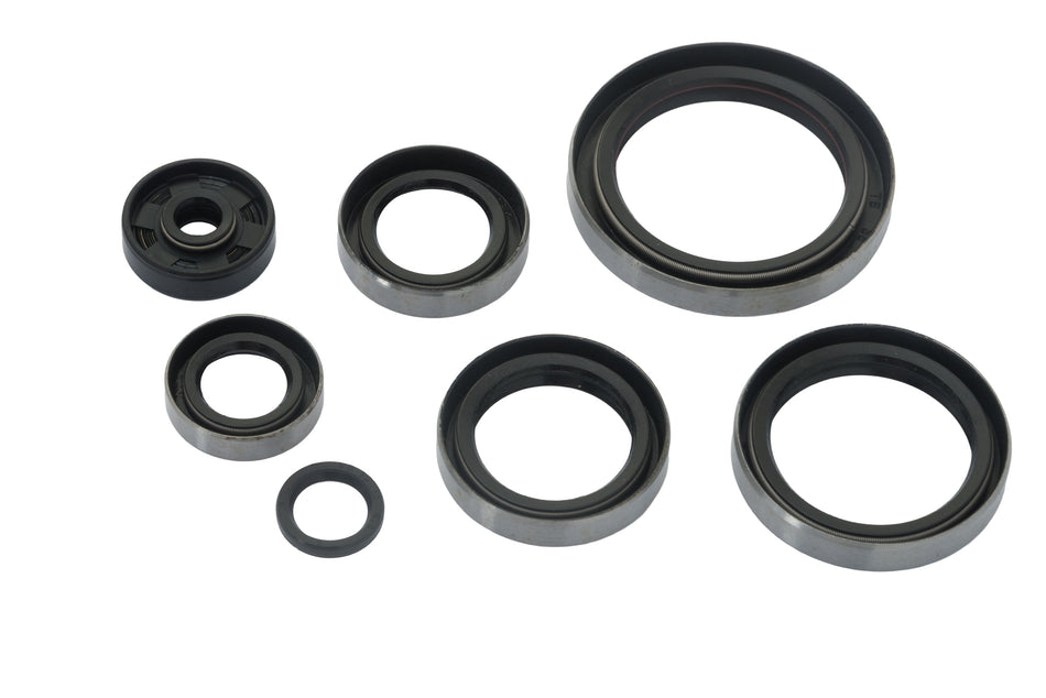 KTM 250 SX 2000-2002 250 EXC 2000-2003 AS3 ENGINE OIL SEAL KIT