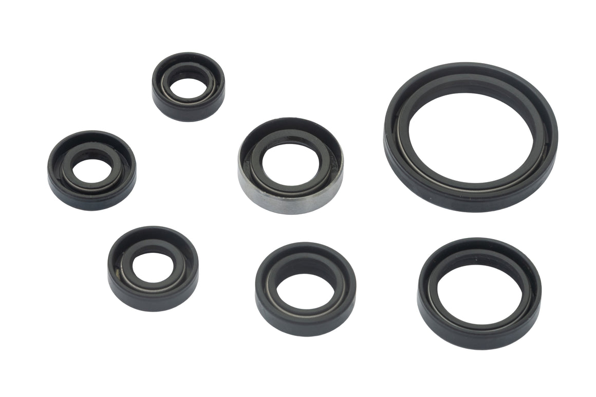 SUZUKI DRZ 400 E 2000-2007 DRZ 400 S 2000-2023 DRZ 400 SM 2005-2024 AS3 ENGINE OIL SEAL KIT