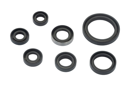 SUZUKI DRZ 400 E 2000-2007 DRZ 400 S 2000-2023 DRZ 400 SM 2005-2024 AS3 ENGINE OIL SEAL KIT
