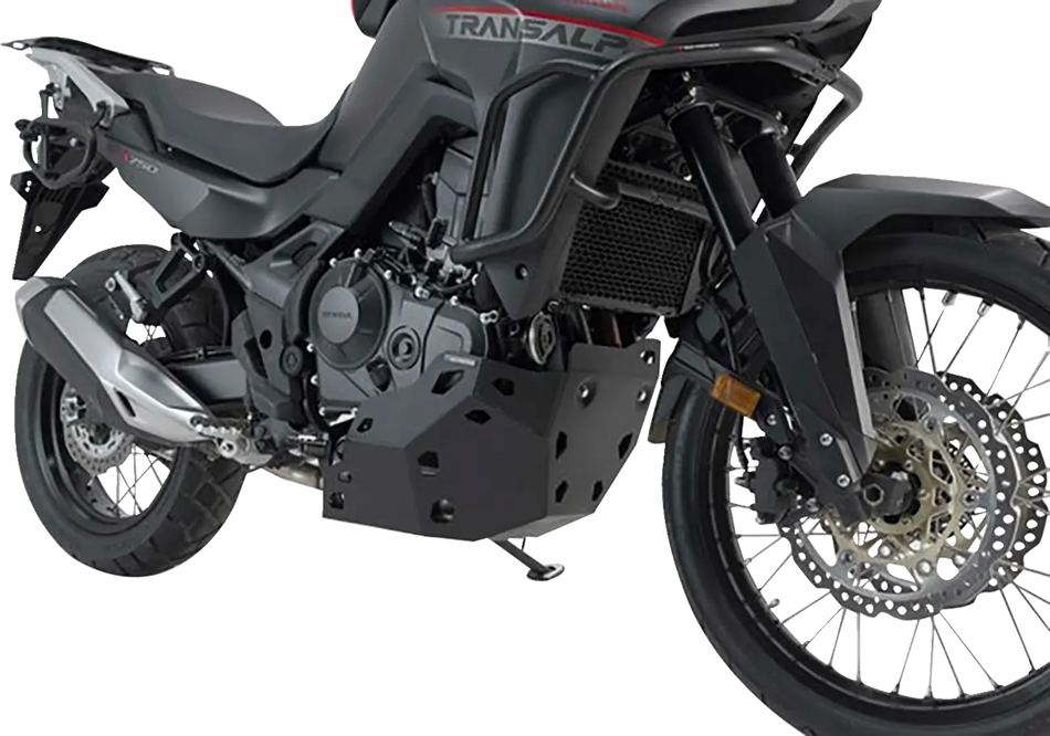 SW-Motech Engine Guard