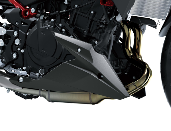 Belly pan (Z500)