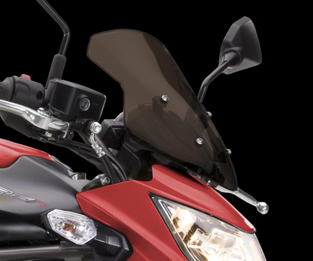 Large Smoke Windshield (ER-6n)