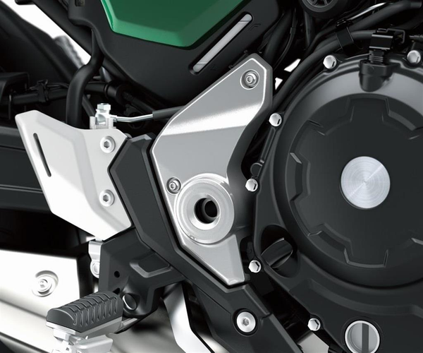 Swing Arm Bolt Covers (Z650RS) | Femon Parts