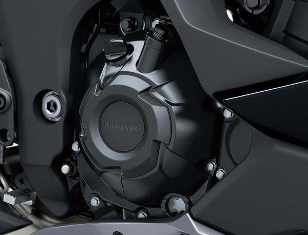 Engine Cover Protectors (Ninja 1000SX)