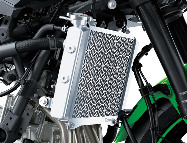 Radiator protection (Ninja ZX-4R)