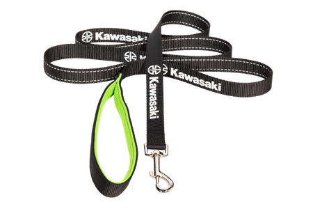 Dog leash