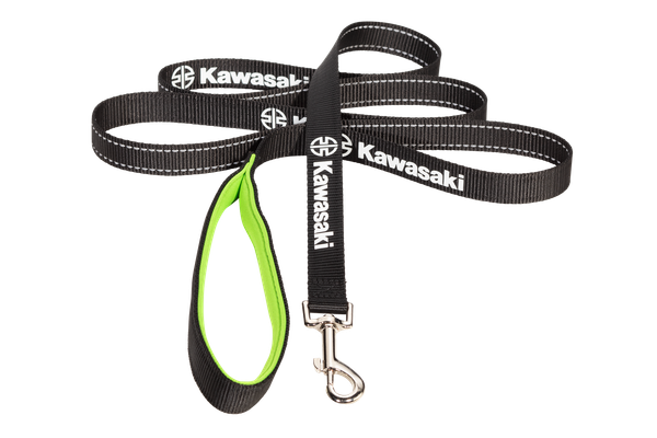 Dog leash