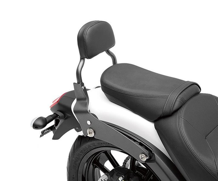 Passenger backrest (Quick Release)
