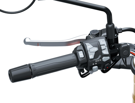 Grip heating (Z900RS)