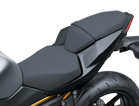 Lowered Saddle (Z650 S)