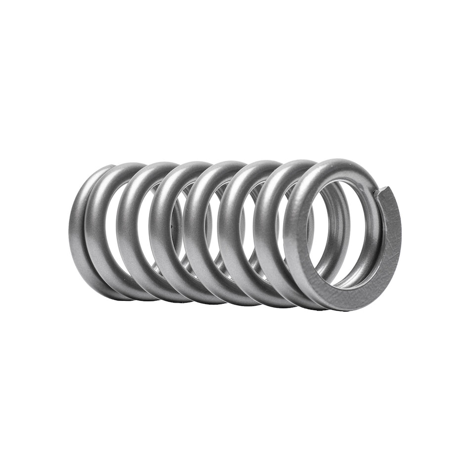 Jitsie Spring for Reiger Shock Absorber